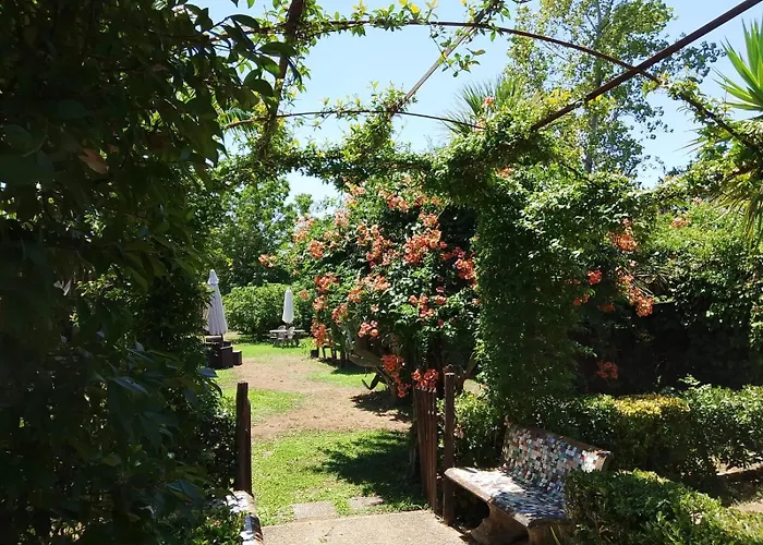 Il Giardino degli Agrumi